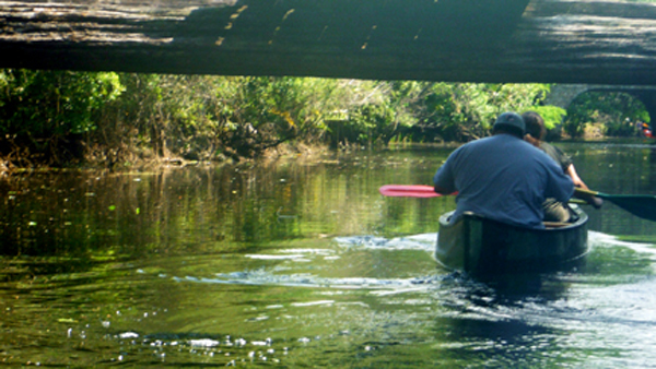 John and Renee canoeing under an overhead log