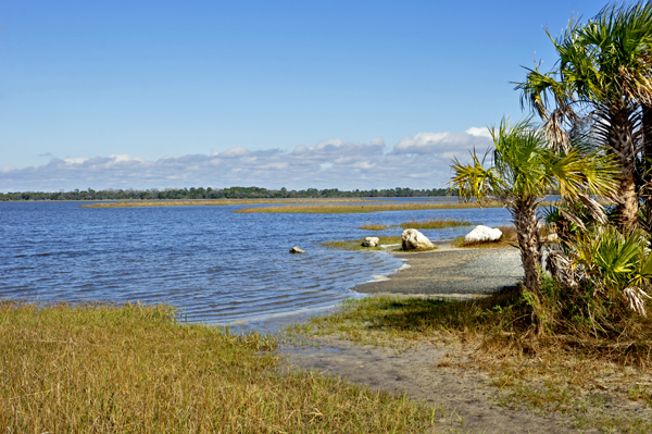 a nice view of the coastal Estuaray and Gulf as seen from the boardwalk