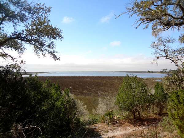 a nice view of the coastal Estuaray and Gulf from the Shell Mound Trail