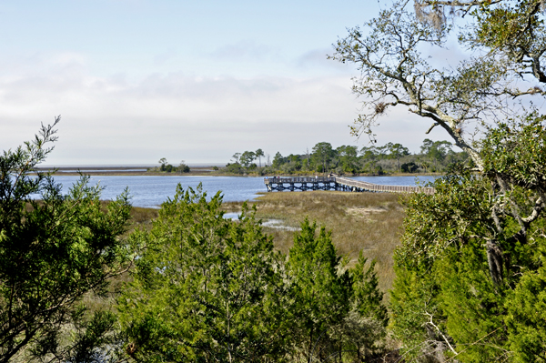 a nice view of the coastal Estuaray and Gulf from the Shell Mound Trail