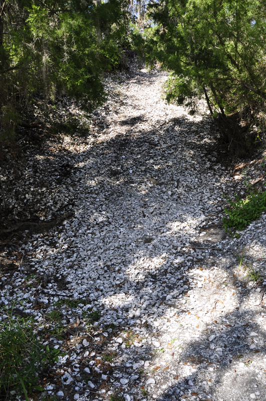 the Shell Mound Archaeological Site