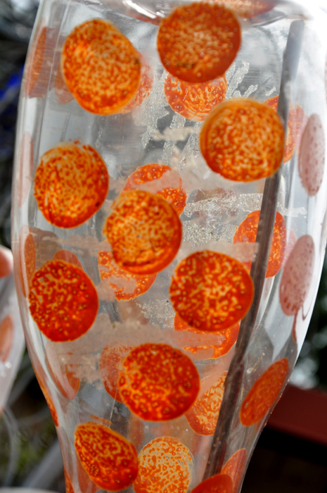 close-up of a bottle on the bottle tree