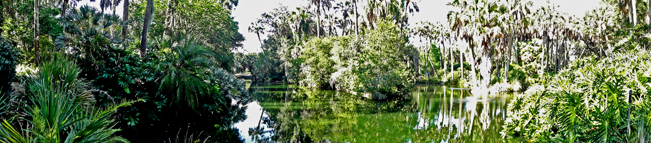 pond at Bok Tower Gardens