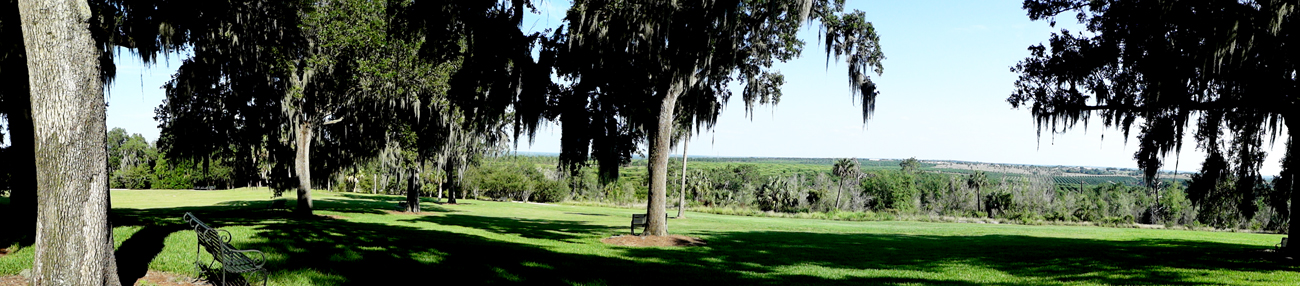 the Live Oak Grove at the Singing Tower 