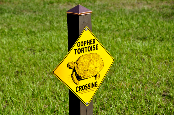 Gopher Tortoise crossing sign
