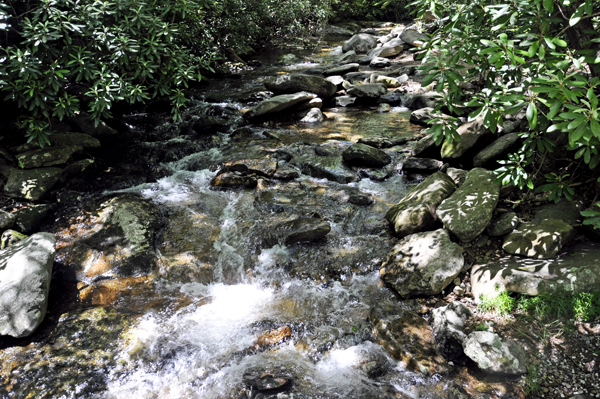 View of Shinny Creek from along the High Shoals Falls Trail