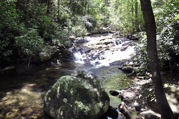 View of Shinny Creek from along the High Shoals Falls Trail