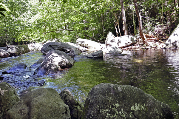 View of Shinny Creek from along the High Shoals Falls Trail