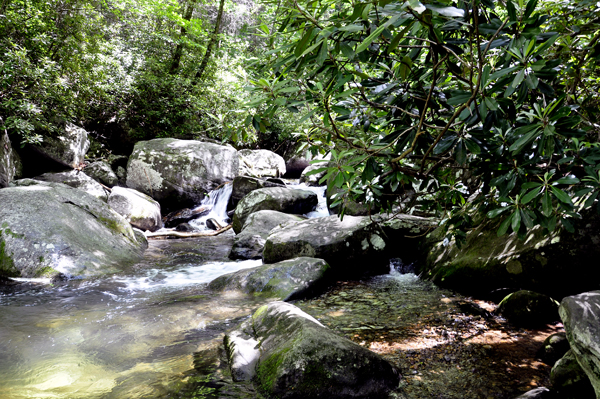 View of Shinny Creek from along the High Shoals Falls Trail