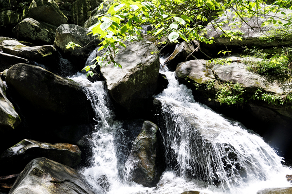 cascade of water