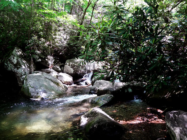 view of the water and rocks