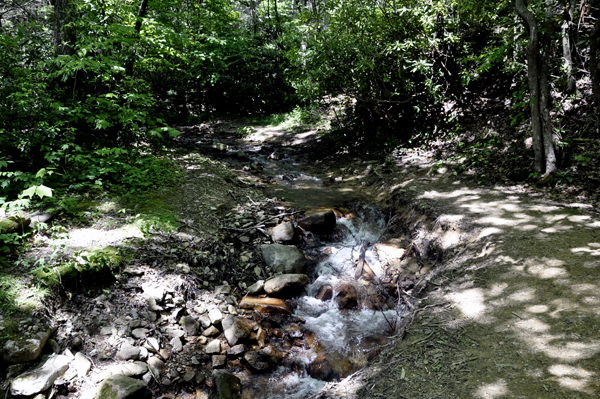 trail to Blue Hole Falls