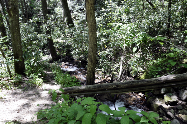 trail to Blue Hole Falls