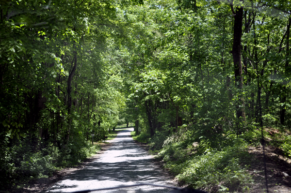 The dirt road leading away from Blue Hole Falls