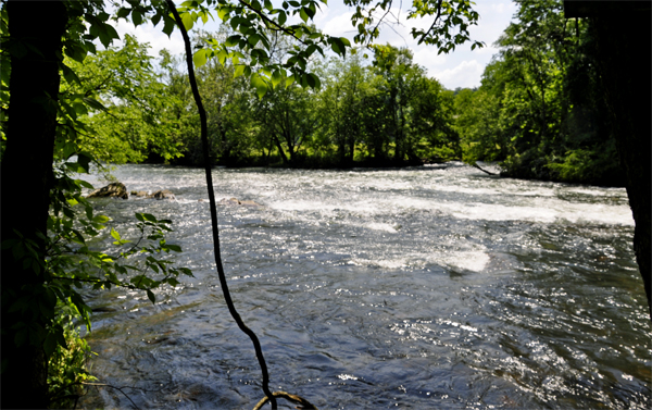 Watauga River