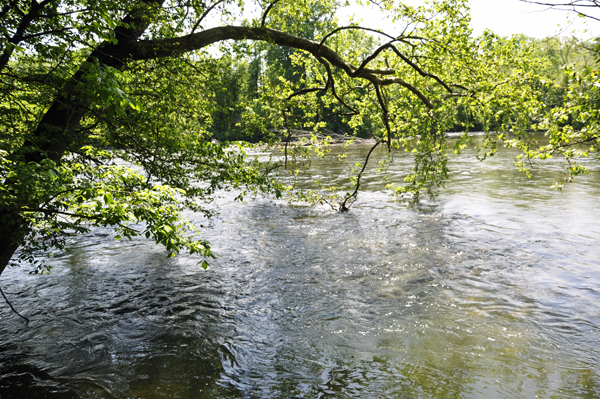 Watauga River