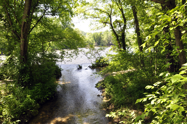 Watauga River