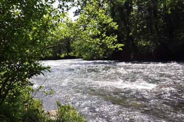 Watauga River