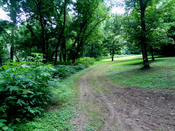 The very easy trail to Rock Cave