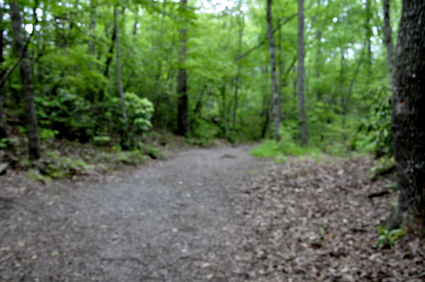 the easy walking trail to Chained Rock