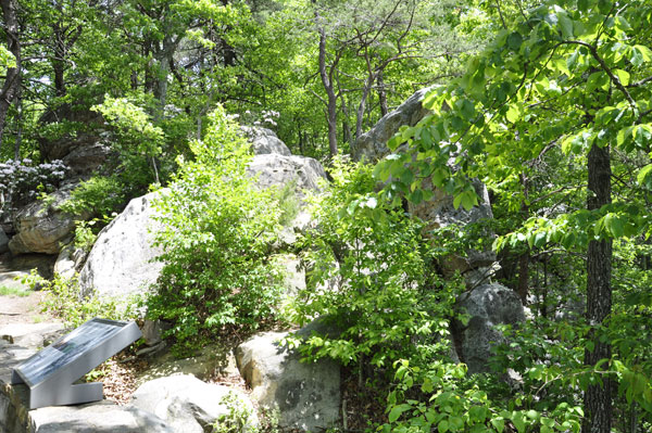 view looking down from the edge of the railing