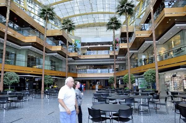 The Winter Garden in the Gm Building