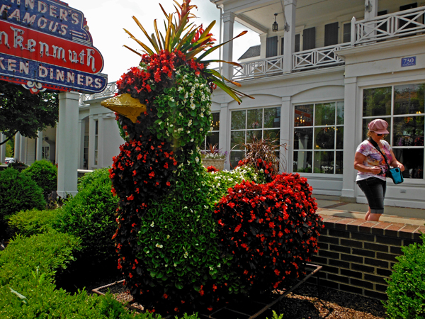 Karen Duquette and the big chicken