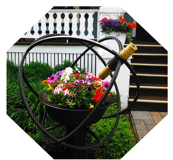 pot of real flowers and a telescope