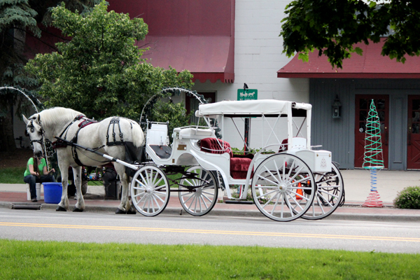 horse and wagon