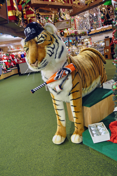 Detroit Tiger