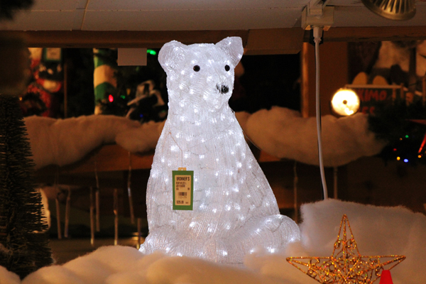 lighted bear