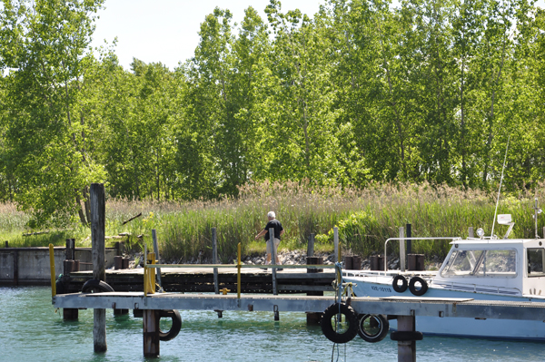 Lee walking on the dock to get another view of the ships.