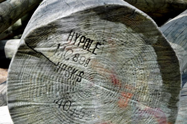 a log that has been branded