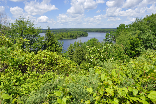 Cooke Pond and Horsehoe Island on the Au Sable River