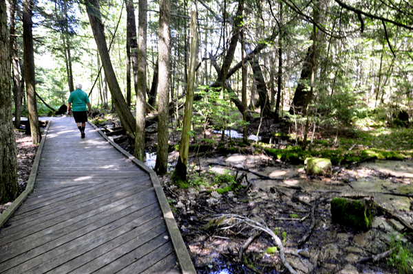 Lee Duquette on the elevated boardwalk