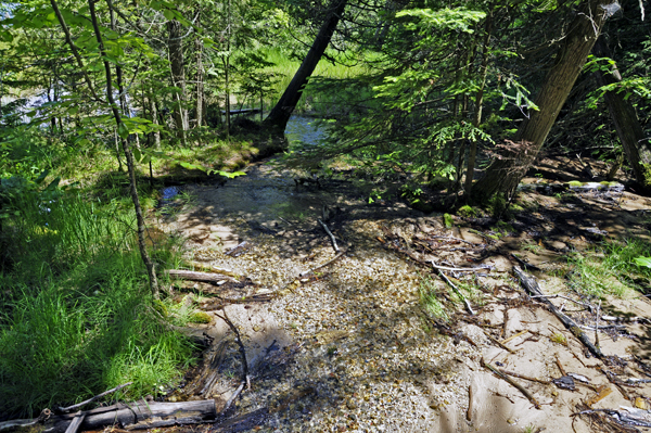 view from the boardwalk at Largo Springs
