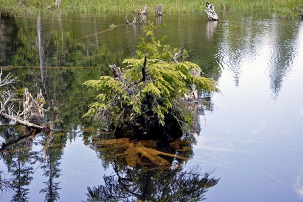 a spectacular view of the AuSable River