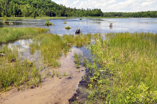 a spectacular view of the AuSable River