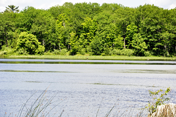 a spectacular view of the AuSable River