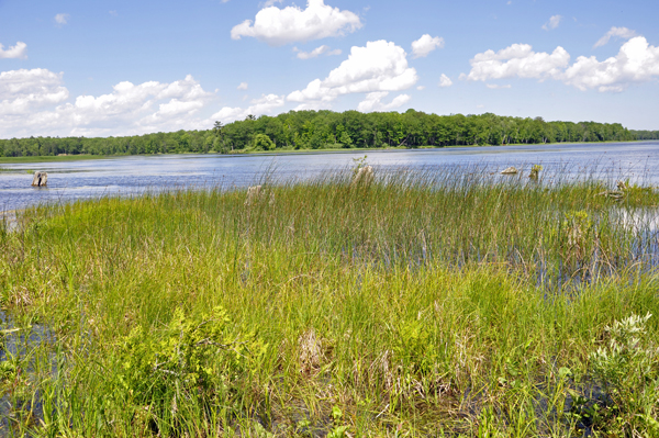 a spectacular view of the AuSable River