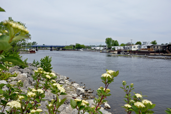 panorama at AuSable Shoreline Park