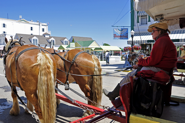 horse-drawn carriage and driver