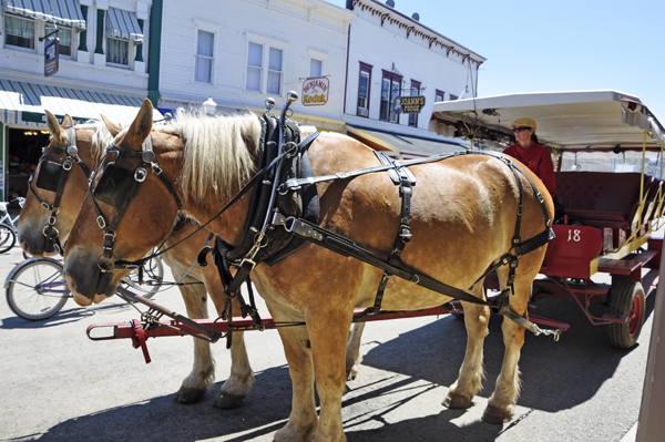 horse-drawn carriage