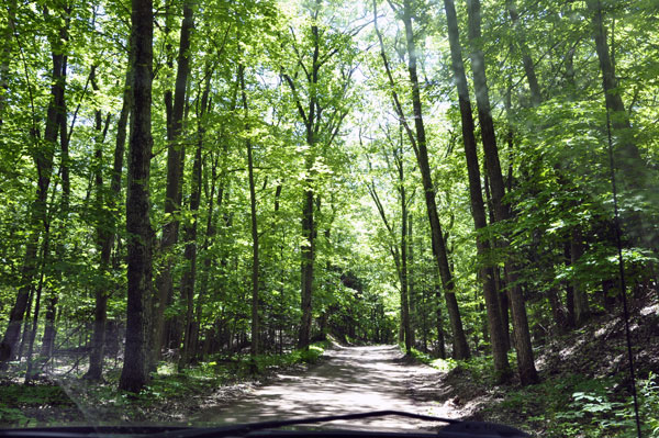 dirt road to the Good Hart Beach Reserve