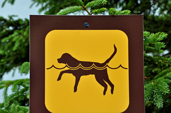 dog swimming sign