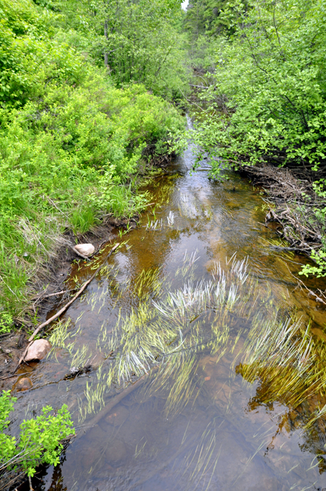 view from one side of the bridge shown above.