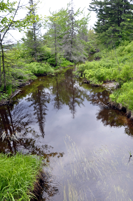 view from the other side of the bridge shown above.