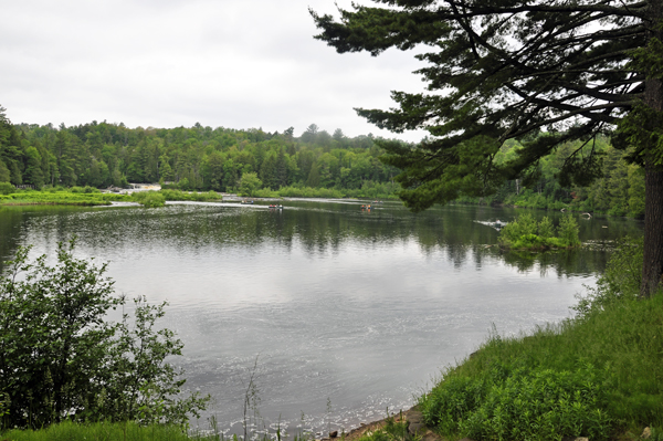 Tahquamenon Falls