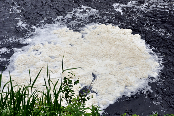 the sea foam