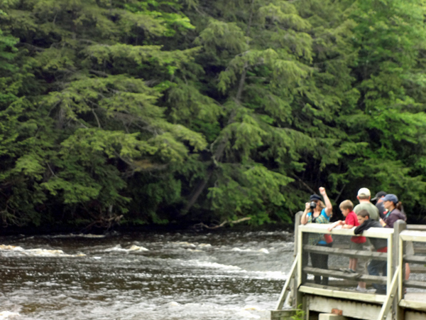 Karen Duquette at upper Tahquamenon Falls